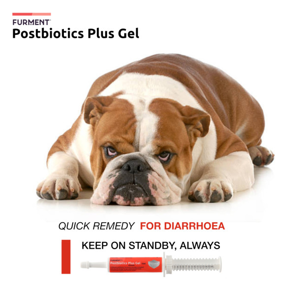 Postbiotics Plus Gel - 15ml