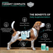 Bundle of 2: FURMENT COMPLETE 50g - Postbiotics, Probiotics, Prebiotics powder supplement